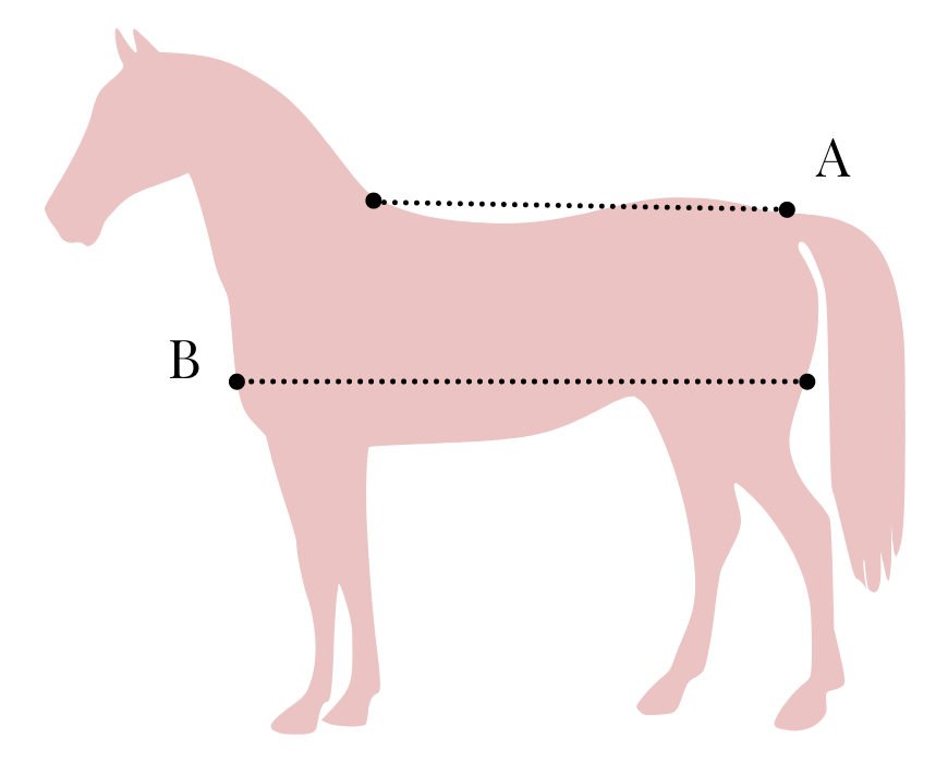 Wat is de juiste dekenmaat voor mijn paard?