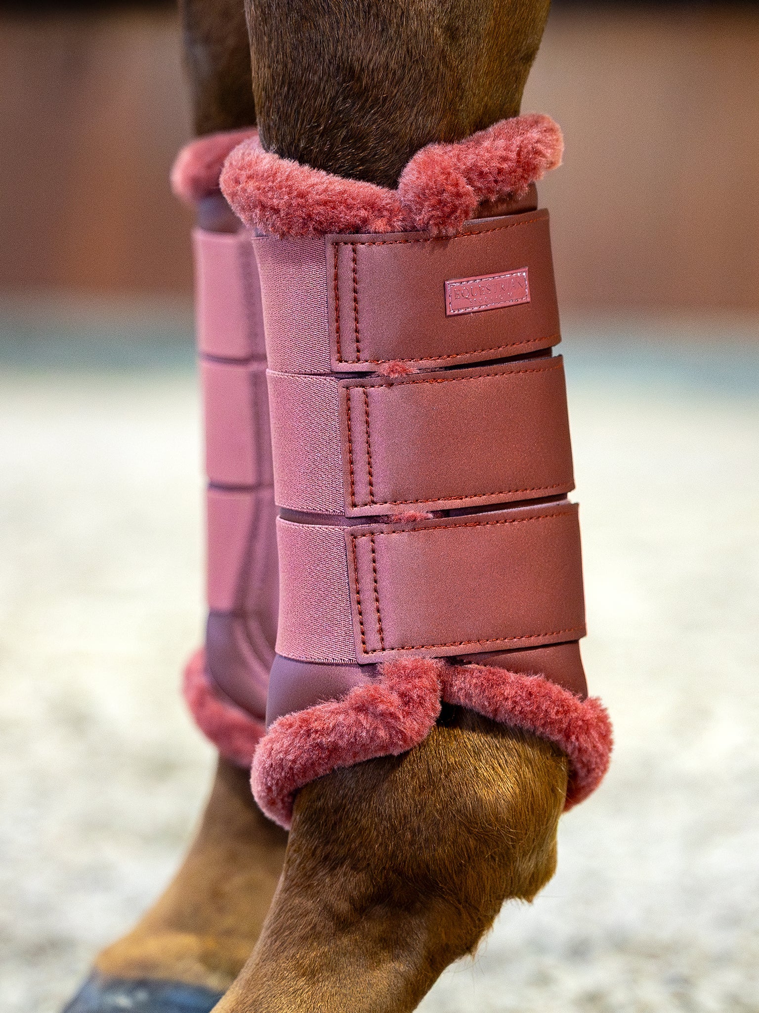 Equestrian Stockholm Beenbeschermers RIDE AGAINST CANCER!