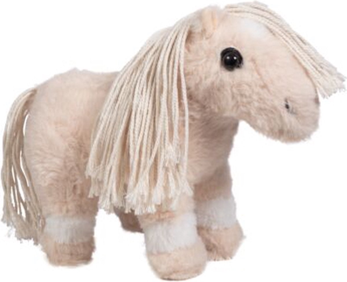 Cuddle Pony Veulen