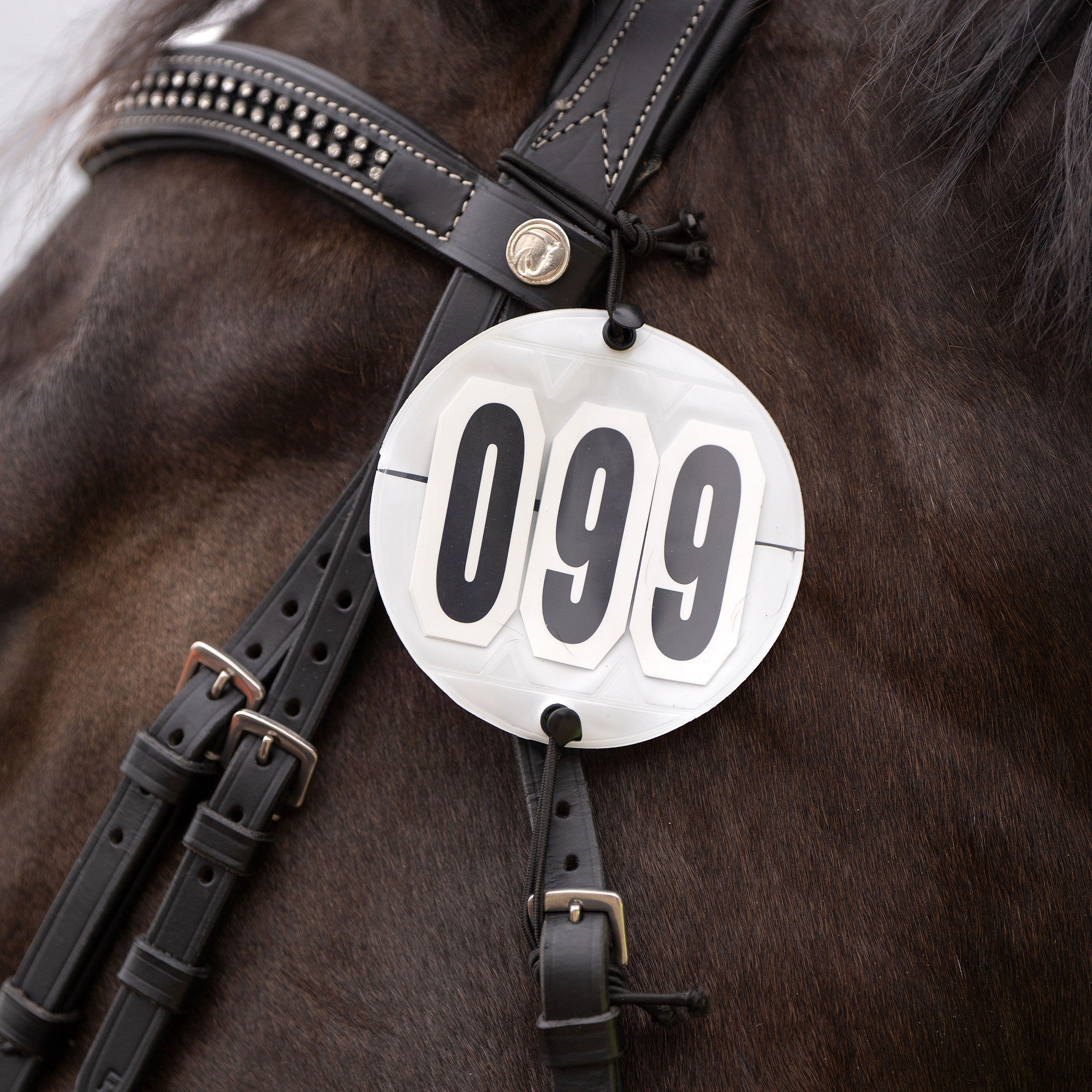 Horka Wedstrijdnummers rond