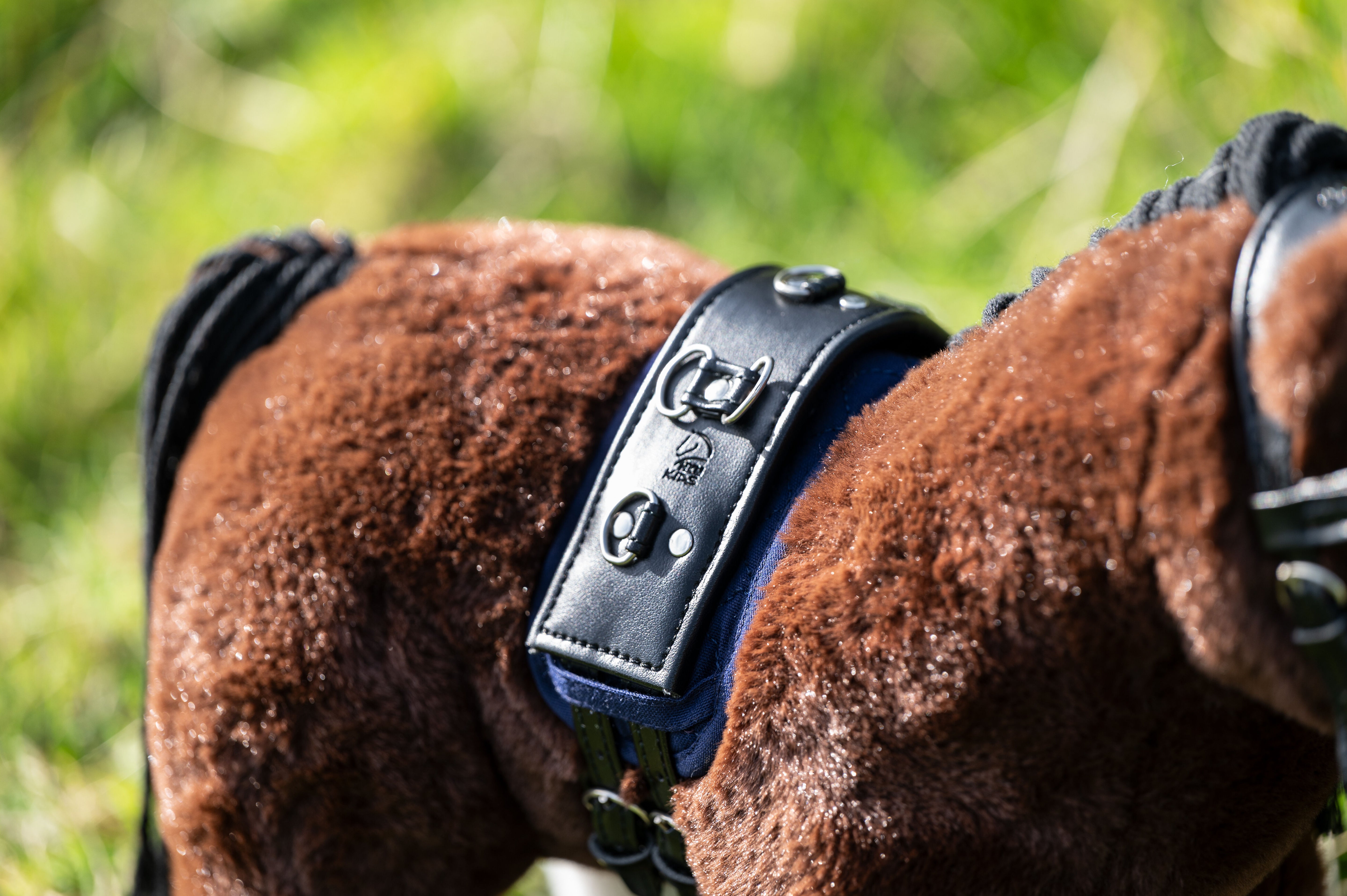 Cuddle Pony longeerset