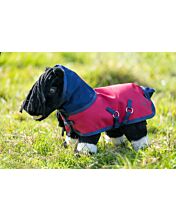 Cuddle Pony Turnout Buitendeken