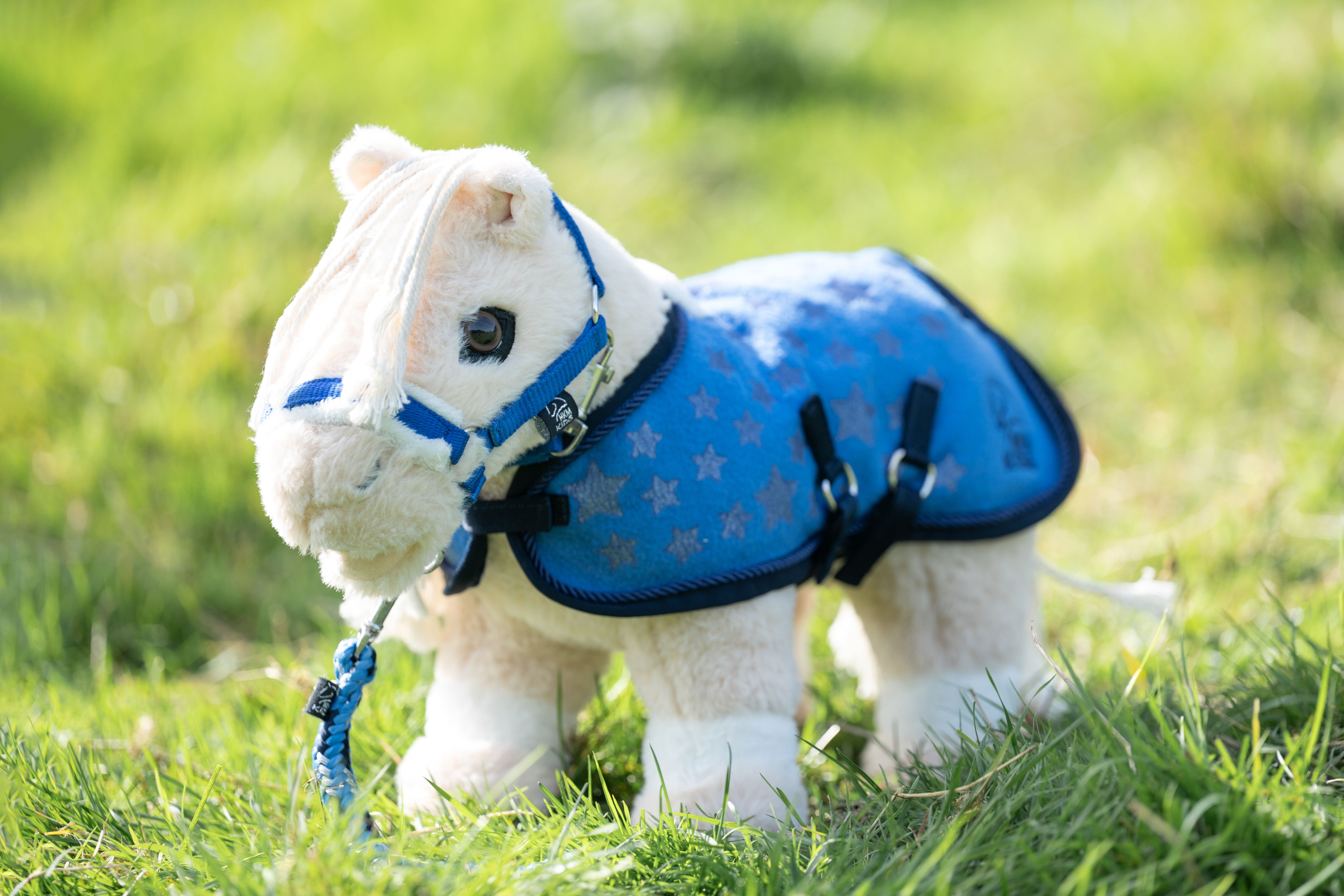 Cuddle Pony set met sterren