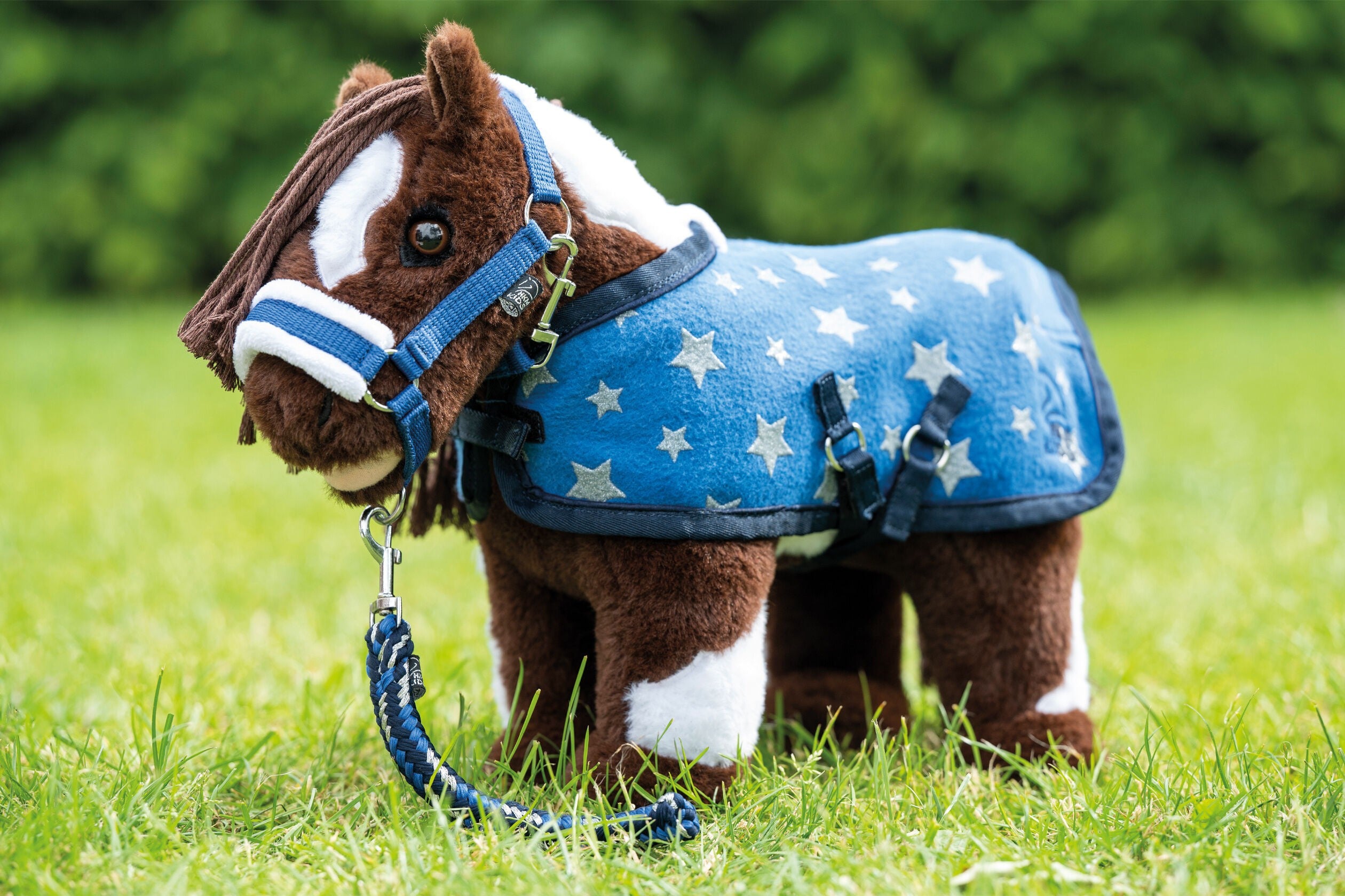 Cuddle Pony set met sterren