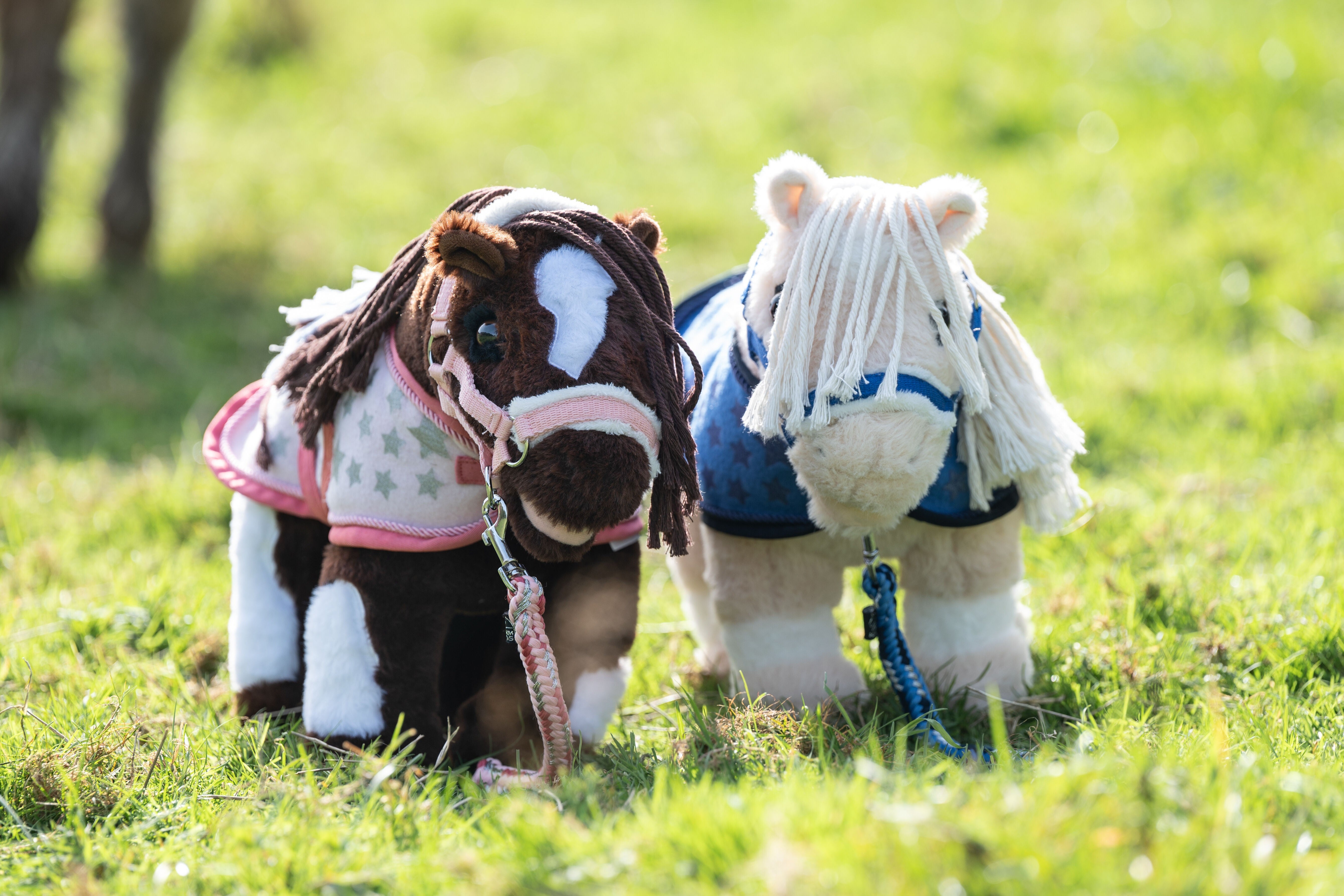 Cuddle Pony set met sterren