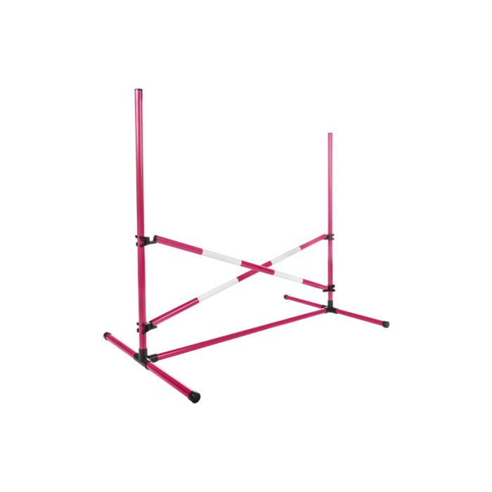 Springset Hobby Horse