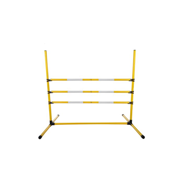 Springset Hobby Horse