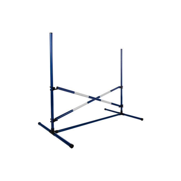 Springset Hobby Horse