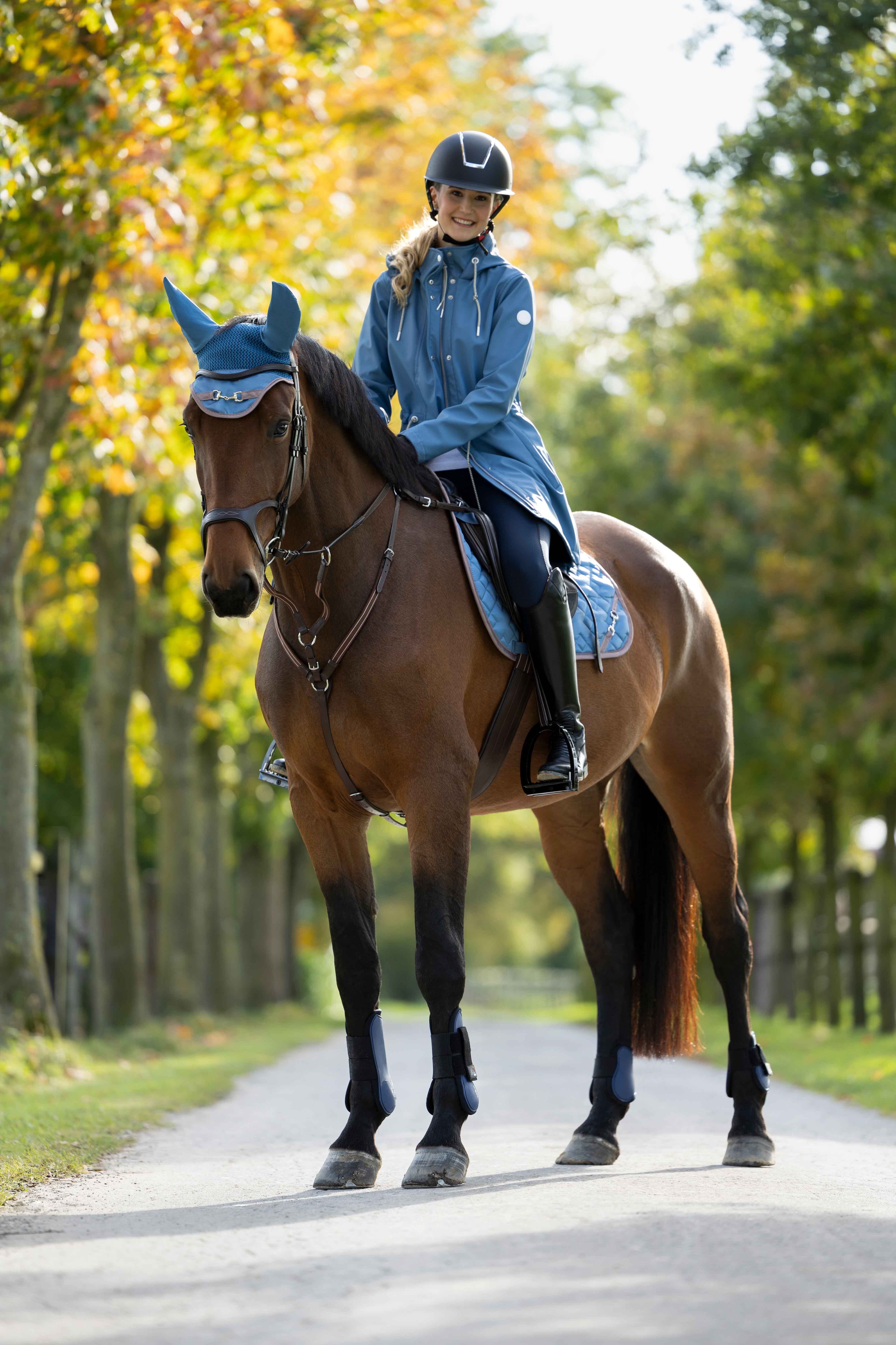 HKM Oornetje Gouden Bit