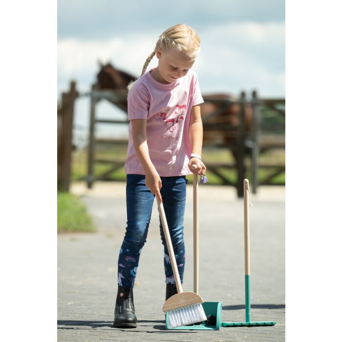 Mestschep Hobby Horse