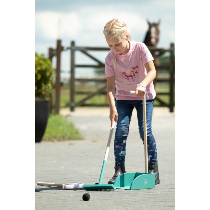 Mestschep Hobby Horse