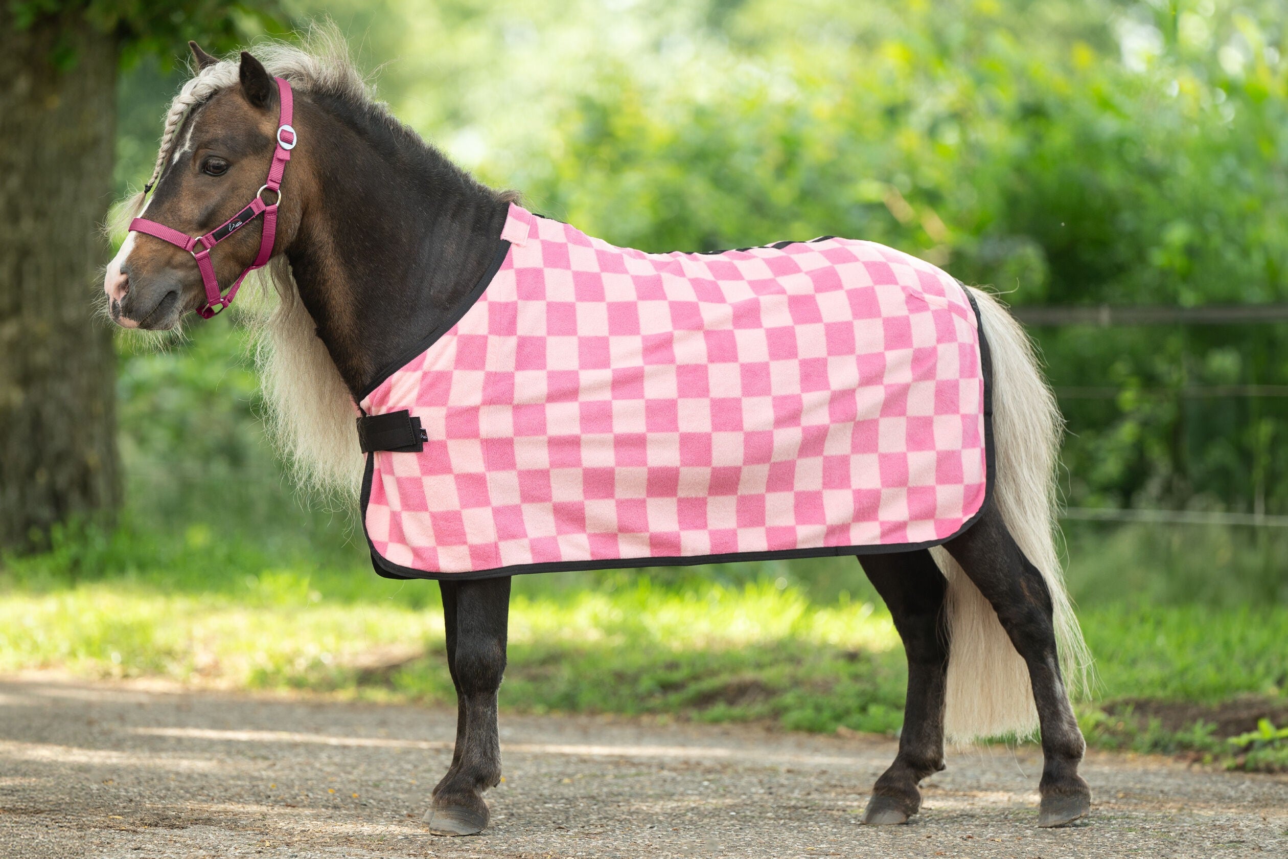 HKM Cooler Henni Shetty