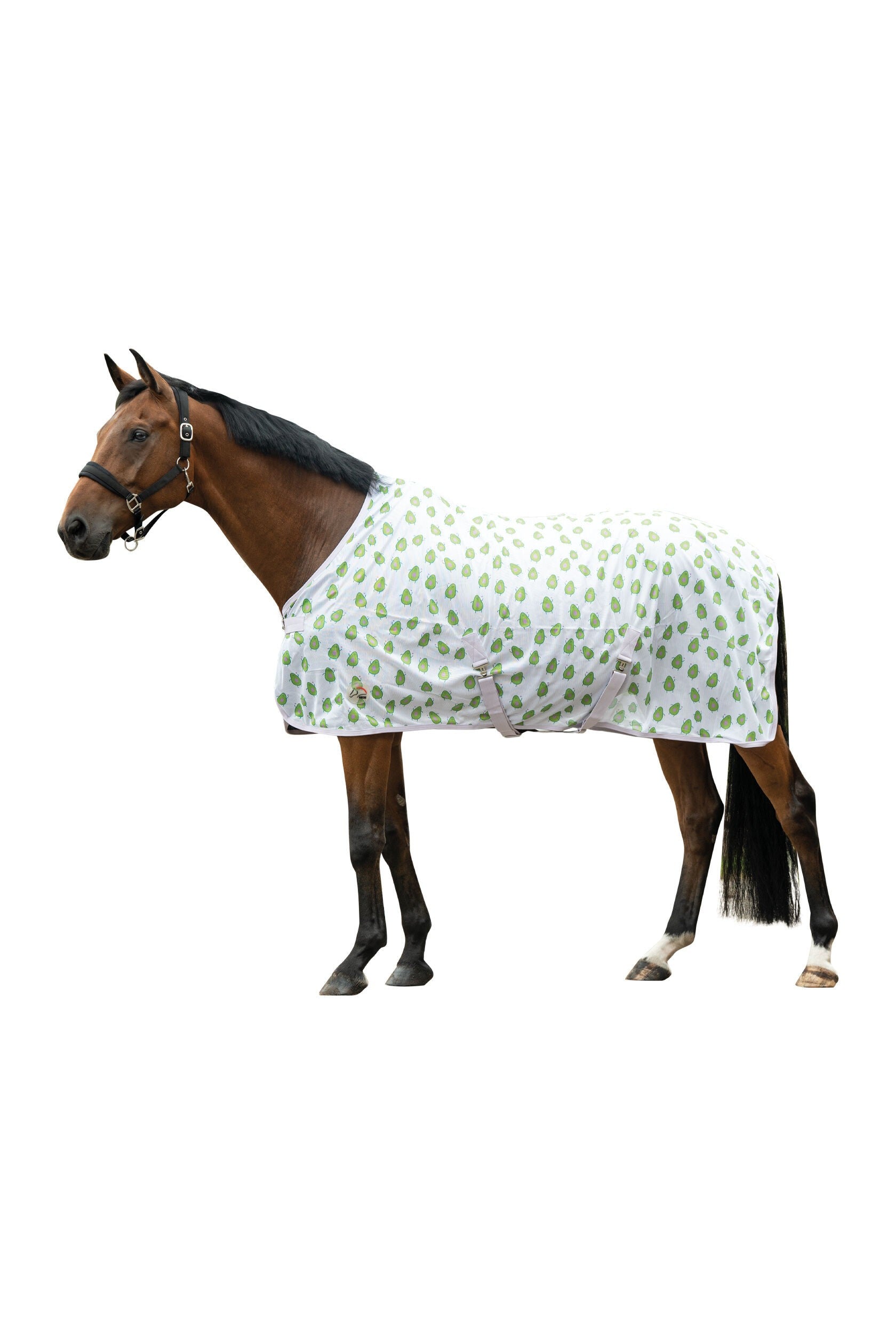 HKM Vliegendeken Naples