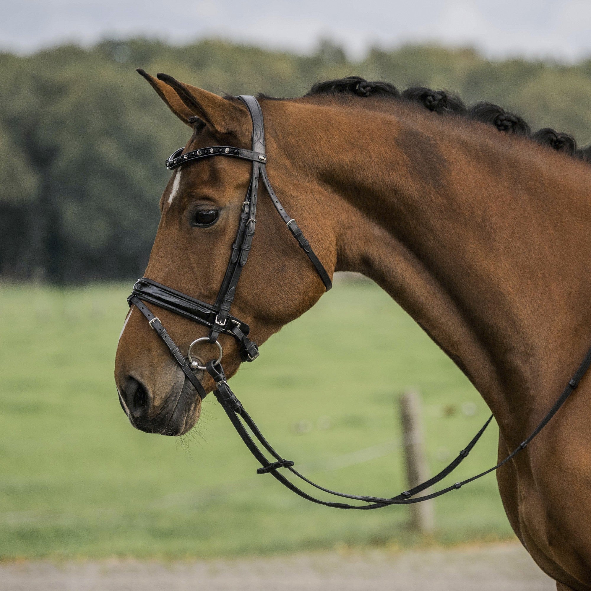 Horka Hoofdstel Flamingo Zwart
