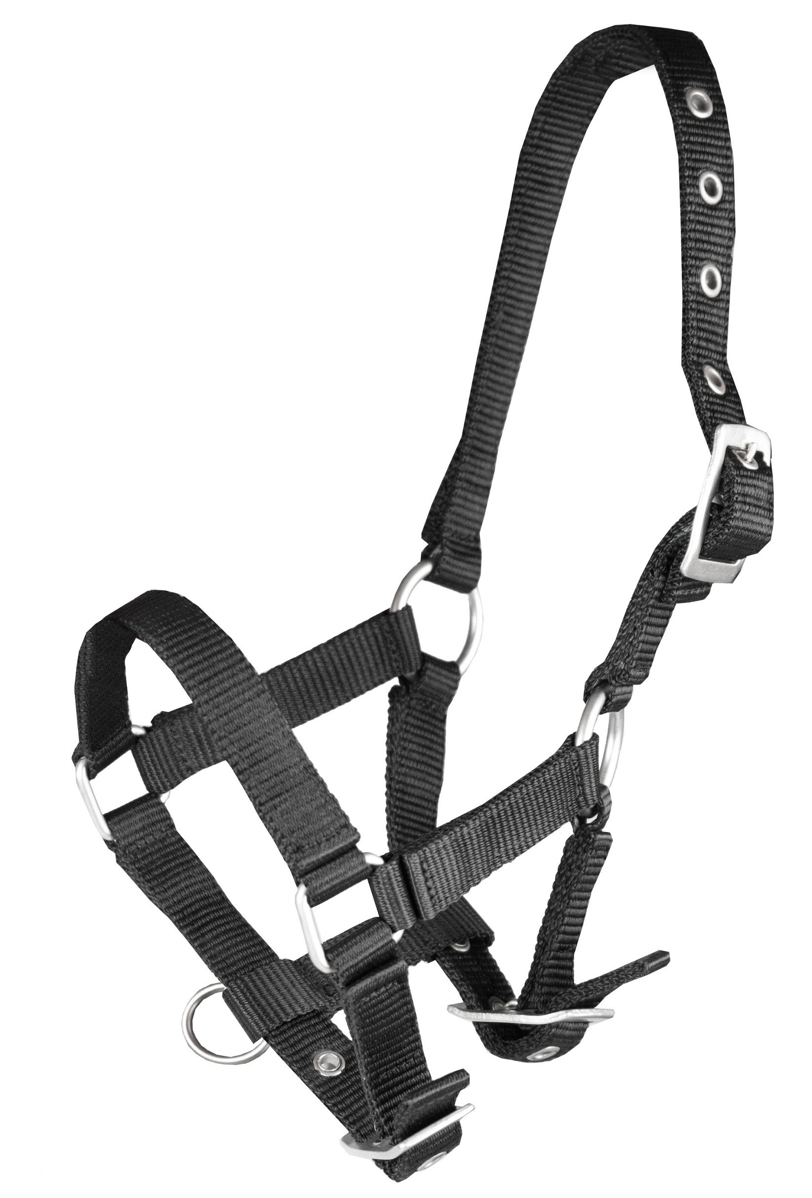 Horka Veulen Halster Full