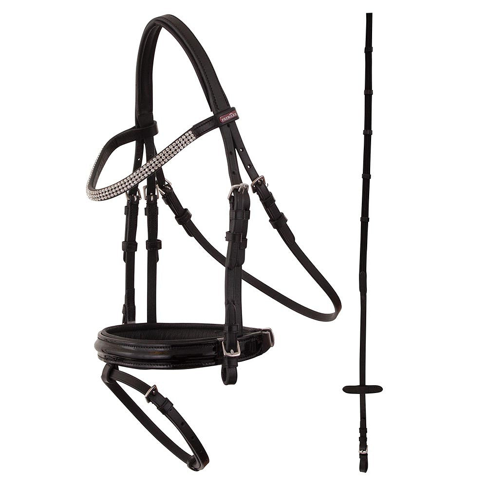 Premiere hoofdstel Ajaccio