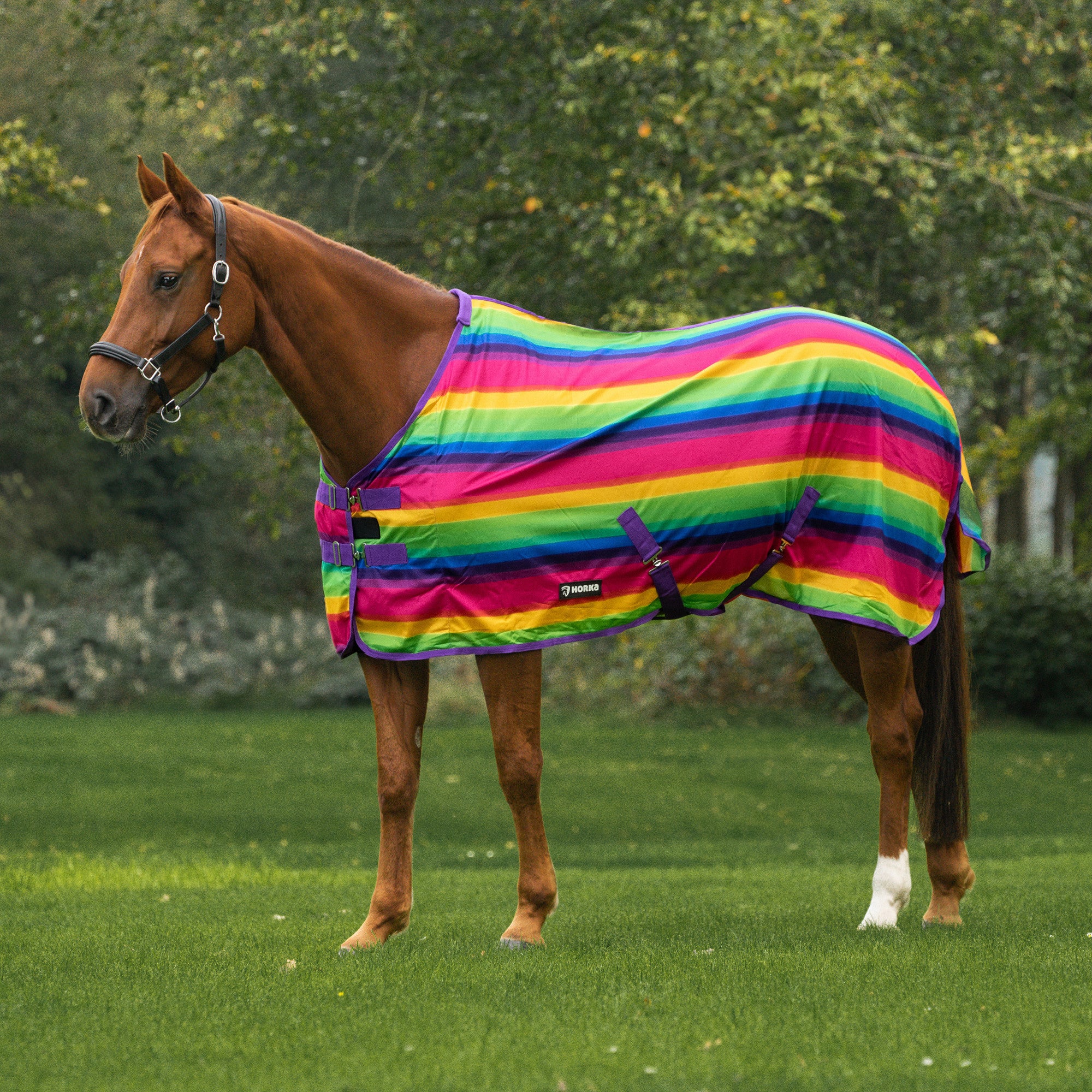 Vliegendeken met print