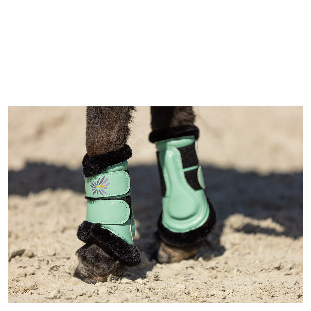 BR Mini Horse Majestic beenbeschermers