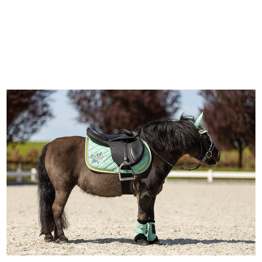 BR Mini Horse Majestic beenbeschermers