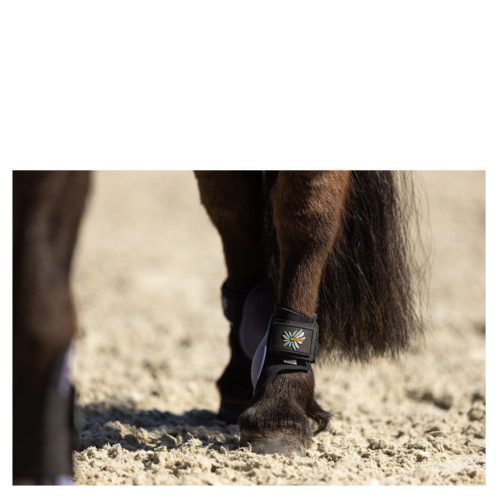 BR Mini Horse strijklappen