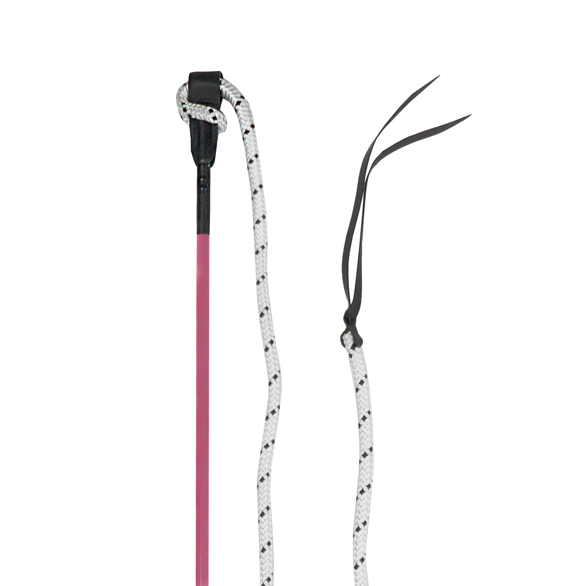 Grondwerkstick Vrijheidsdressuur