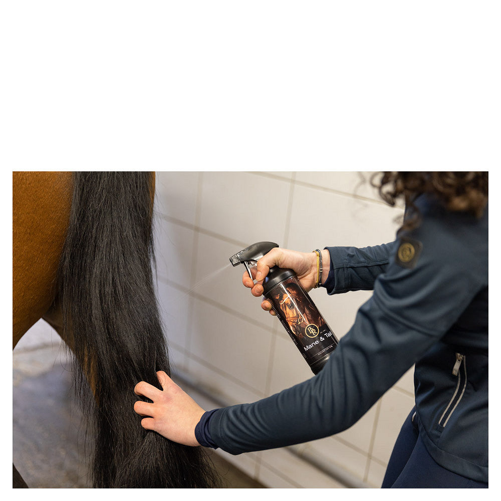 BR staart en manen lotion 500ml VE6