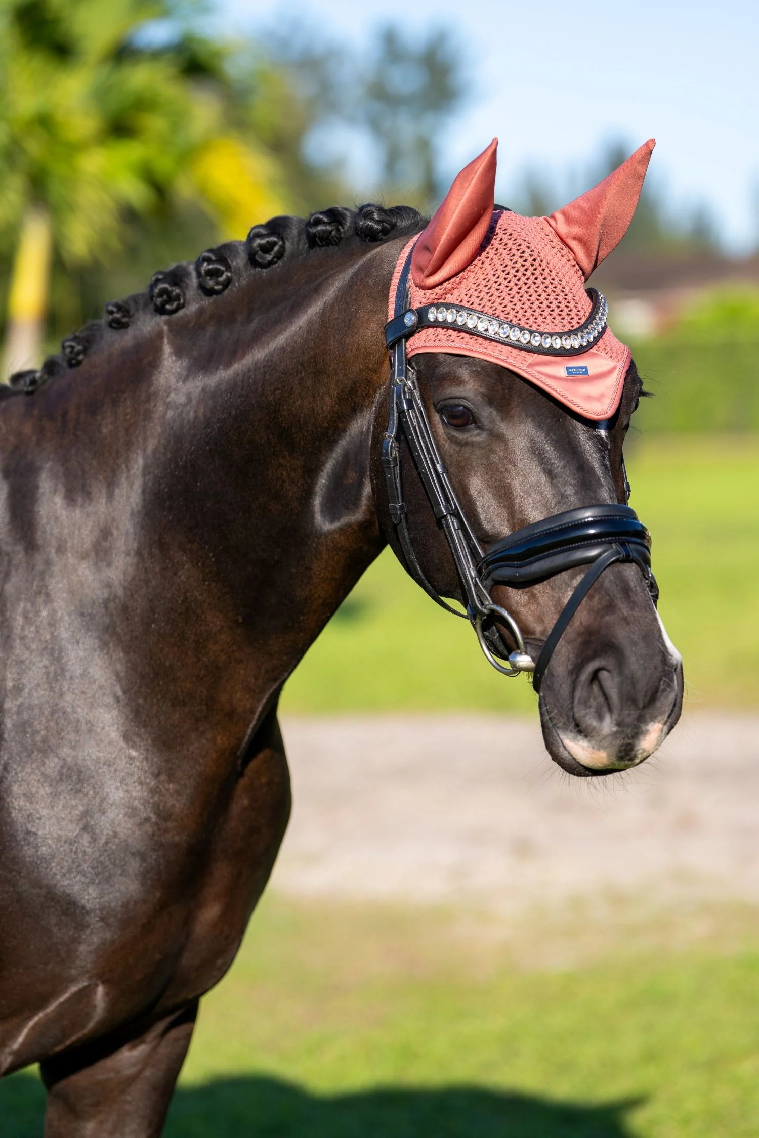 Equestrian Stockholm Modern Oornetje