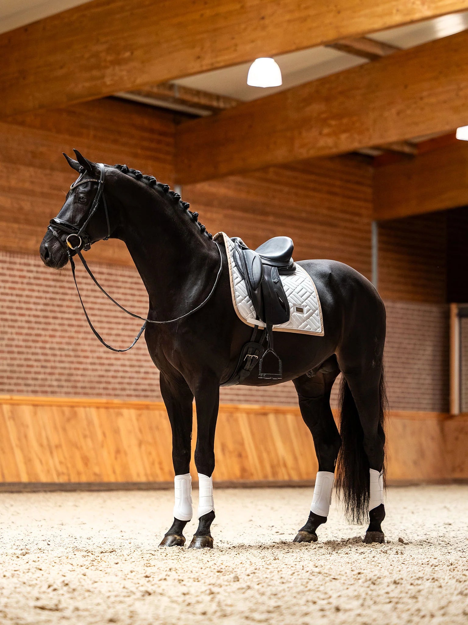 Equestrian Stockholm Dressuurdekje Modern Sand-White