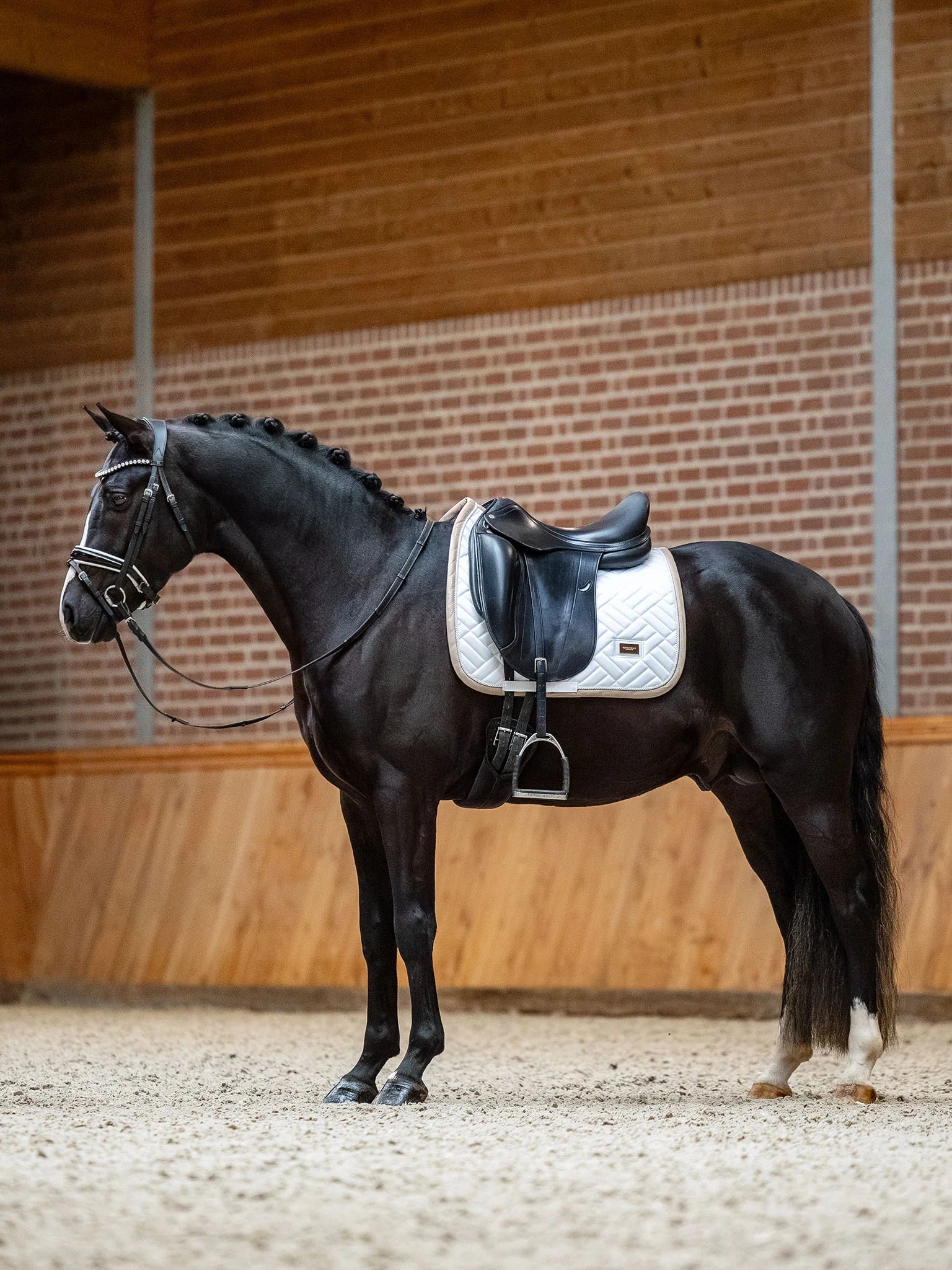 Equestrian Stockholm Dressuurdekje Modern Sand-White