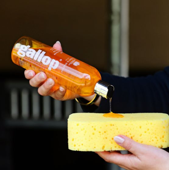 Gallop® Colour shampoo – Chestnut & Palomino