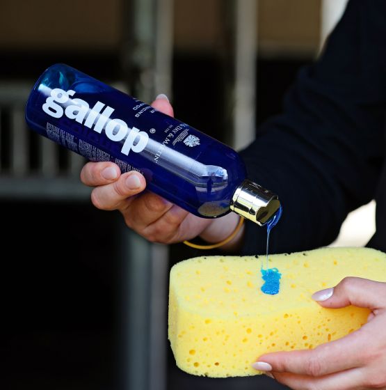 Car & Day & Martin Gallop® Colour