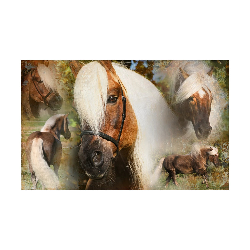 Excellent Horse Hi Gloss Spray 500ML