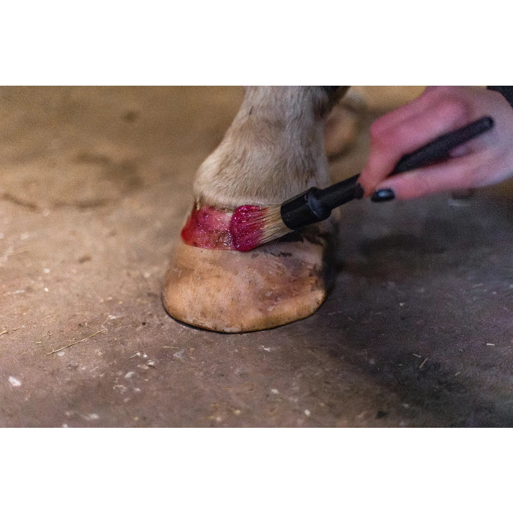 Excellence Horse Hi Gloss Glitter Hoof Polish