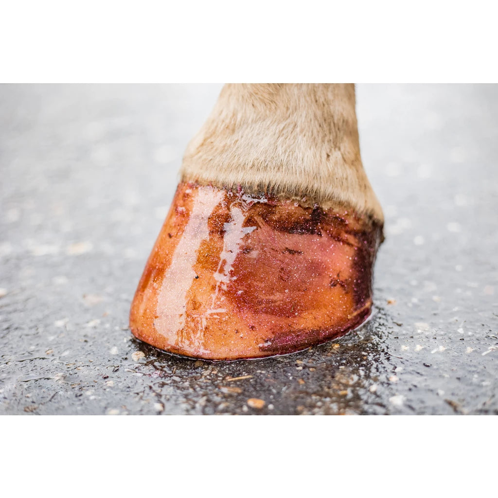 Excellence Horse Hi Gloss Glitter Hoof Polish