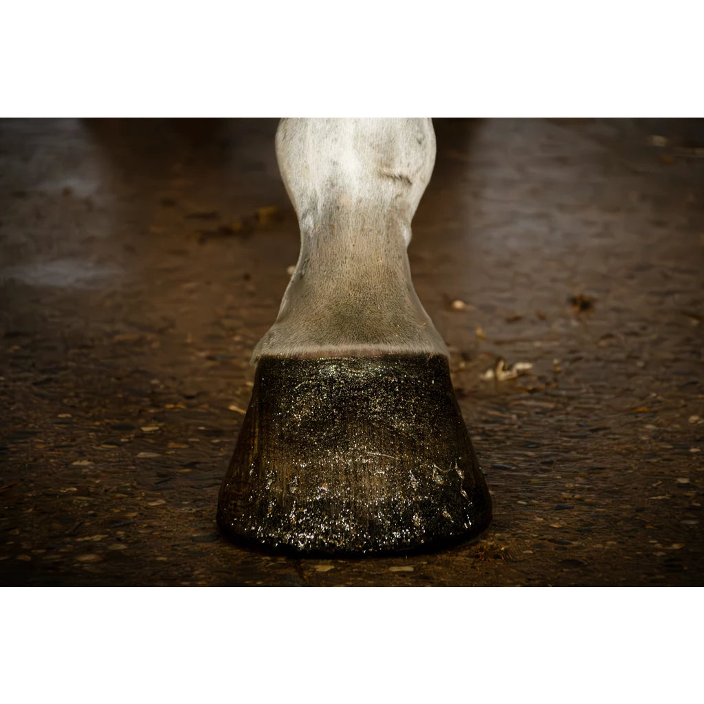 Excellence Horse Hi Gloss Glitter Hoof Polish