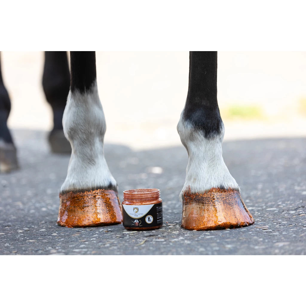 Excellence Horse Hi Gloss Glitter Hoof Polish