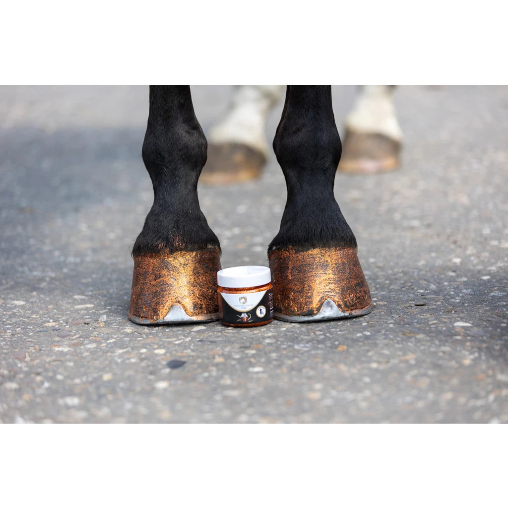 Excellence Horse Hi Gloss Glitter Hoof Polish