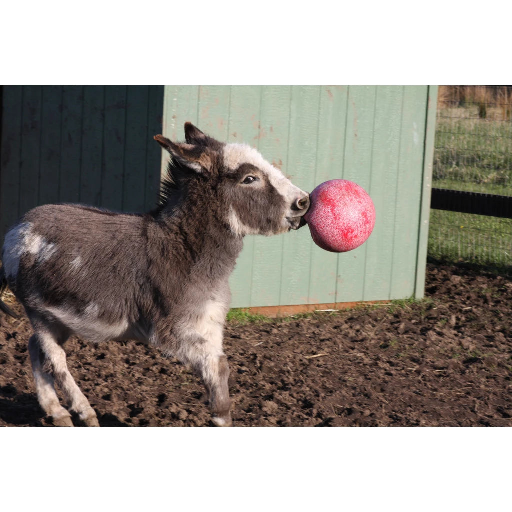 Horsemen's Pride Jolly Bal