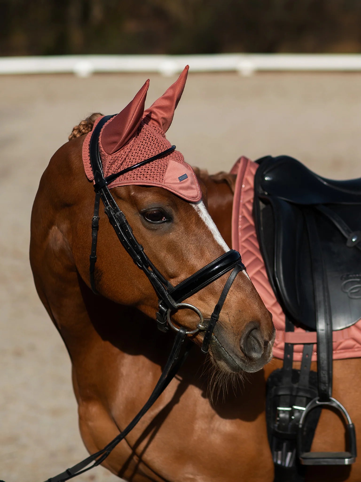 Equestrian Stockholm Modern Oornetje
