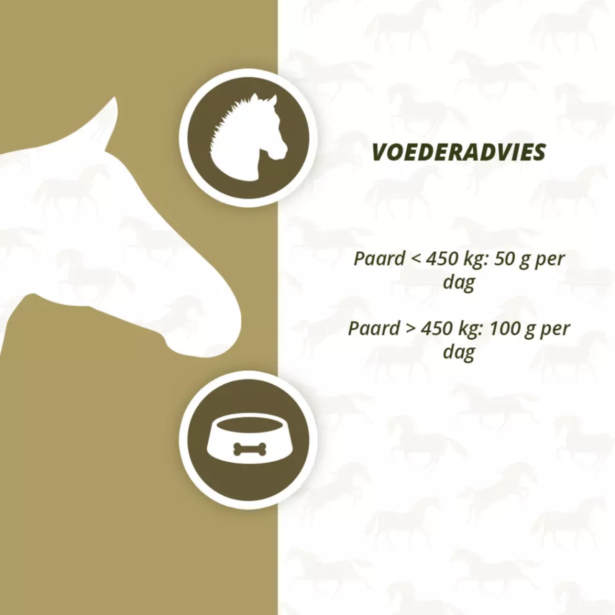 Excellent Horse Prebiotics
