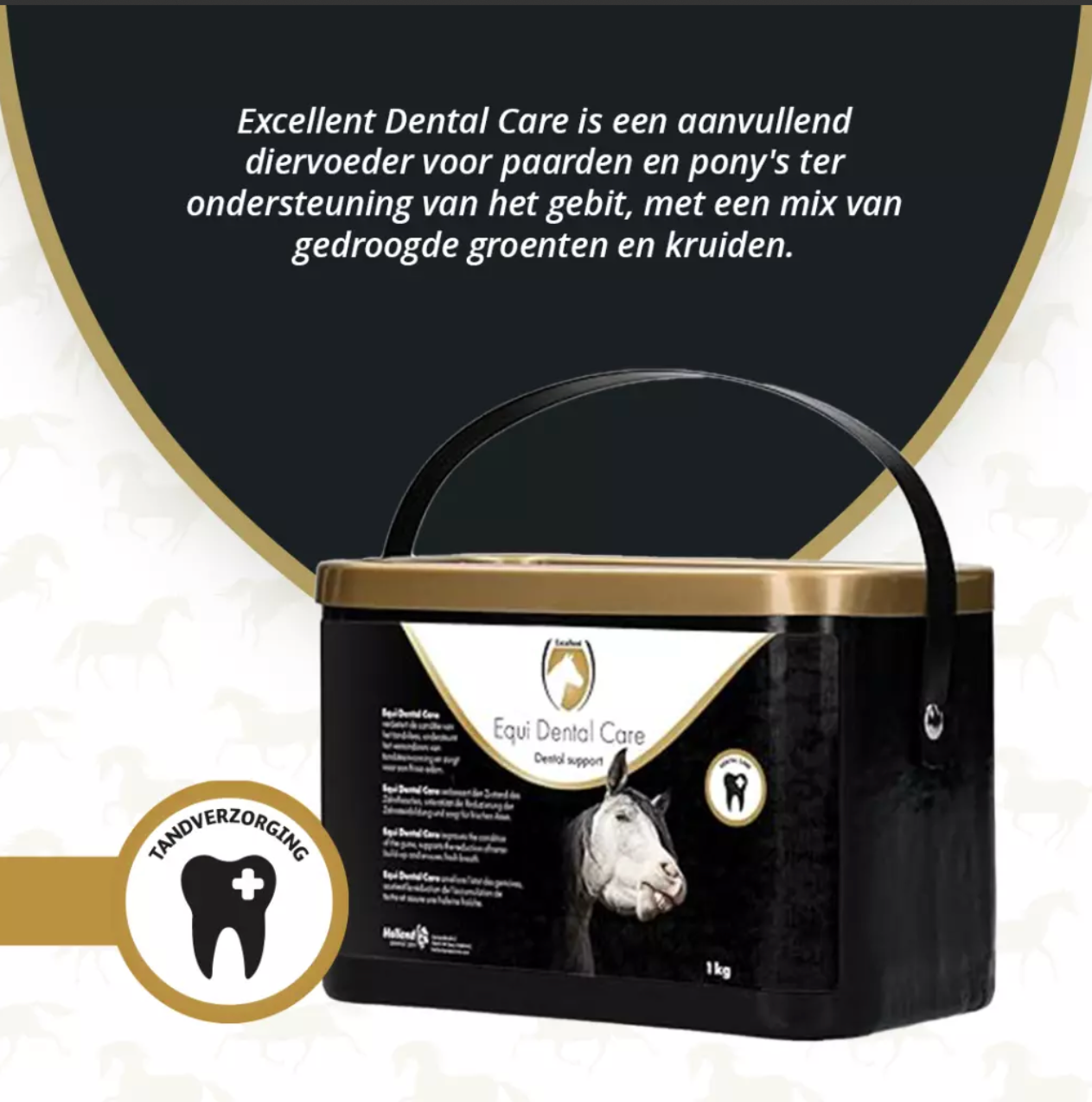 Excellent Horse Dental Care