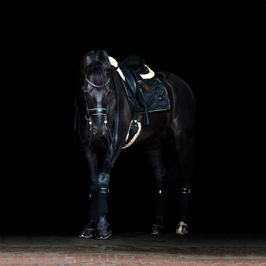 Equestrian Stockholm Dressuurdekje Black Gold