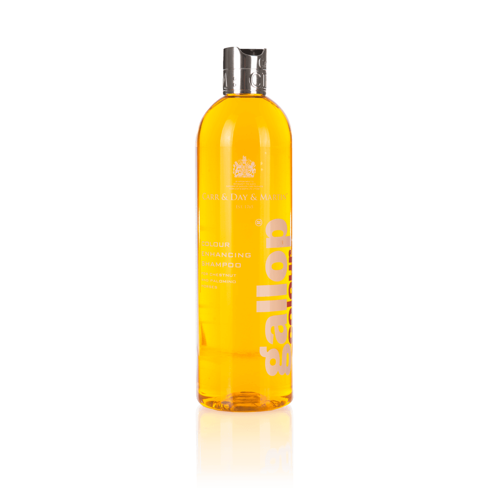 Car & Day & Martin Gallop® Colour