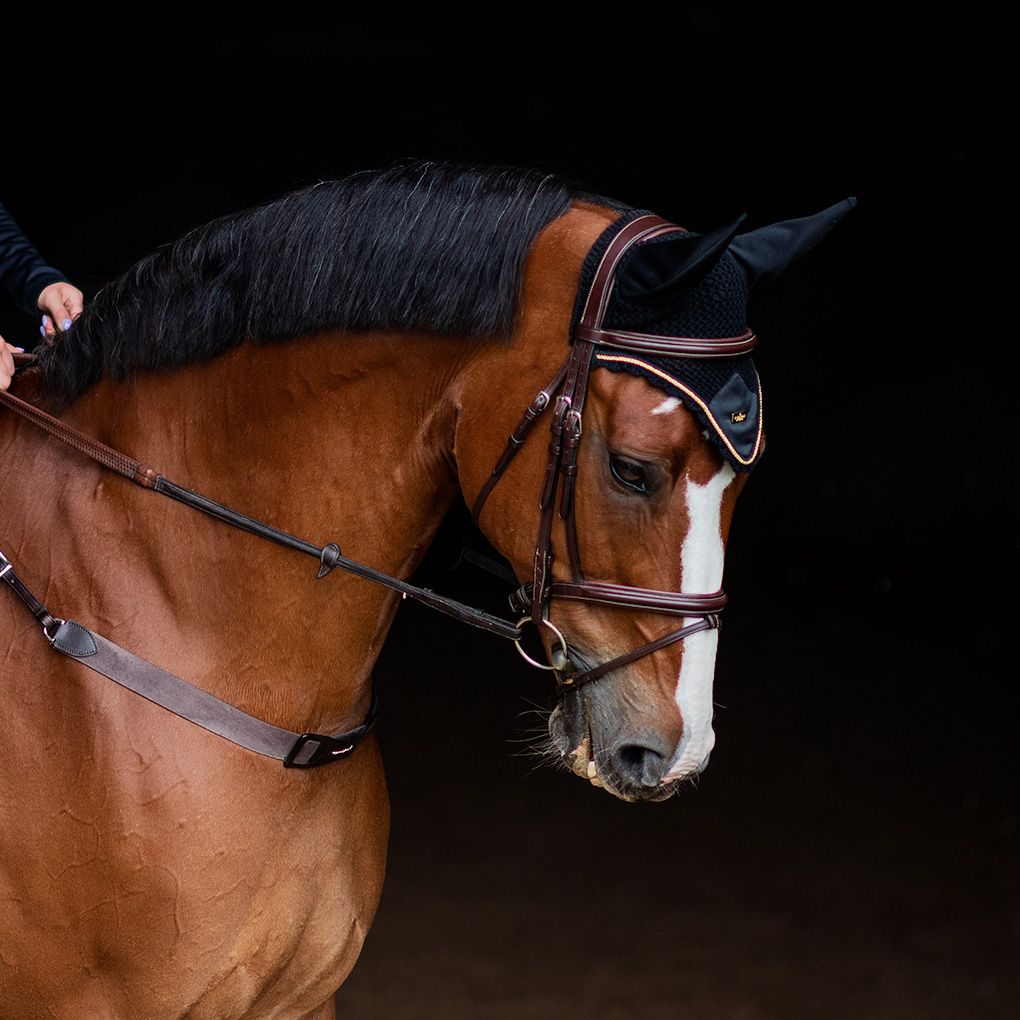 Equestrian Stockholm oornetje Black Gold