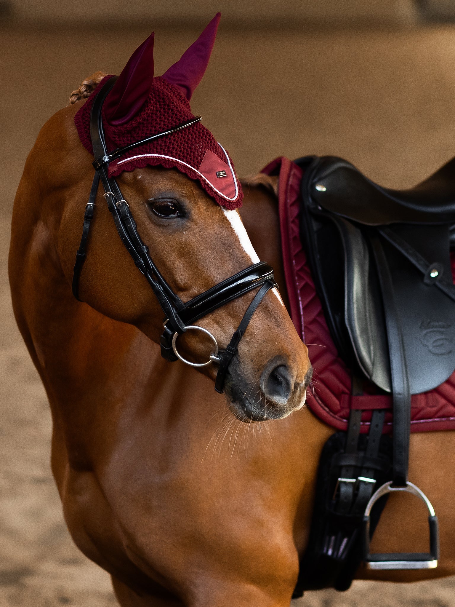 Equestrian Stockholm Gehaakte Oornetjes