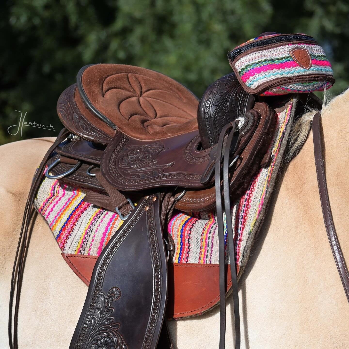 Kleine zadeltas Brightstar voor pommel of fork