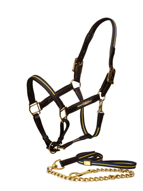 Equestrian Stockholm Halster & Halsterketting Sweden Nation