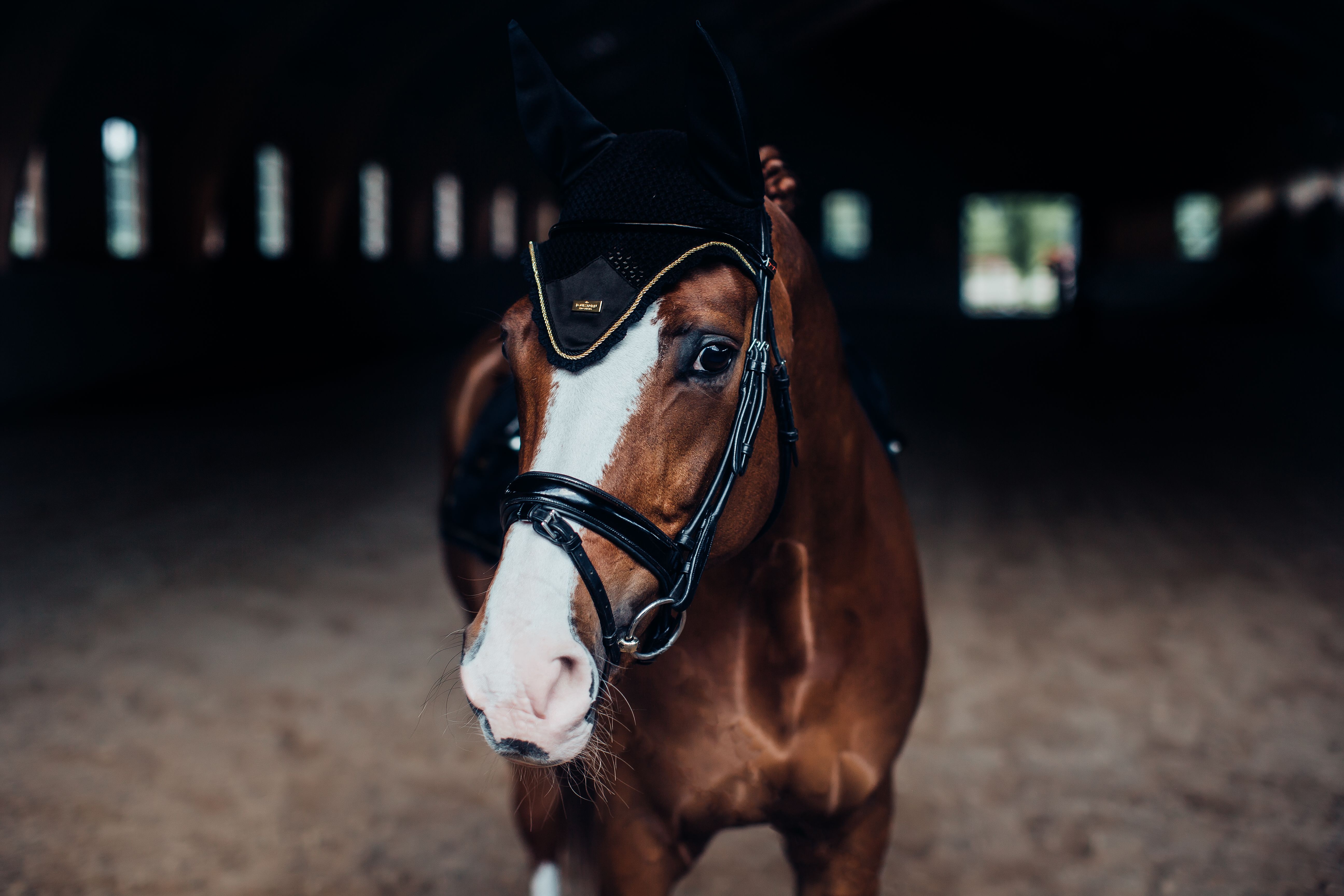 Equestrian Stockholm oornetje Black Gold