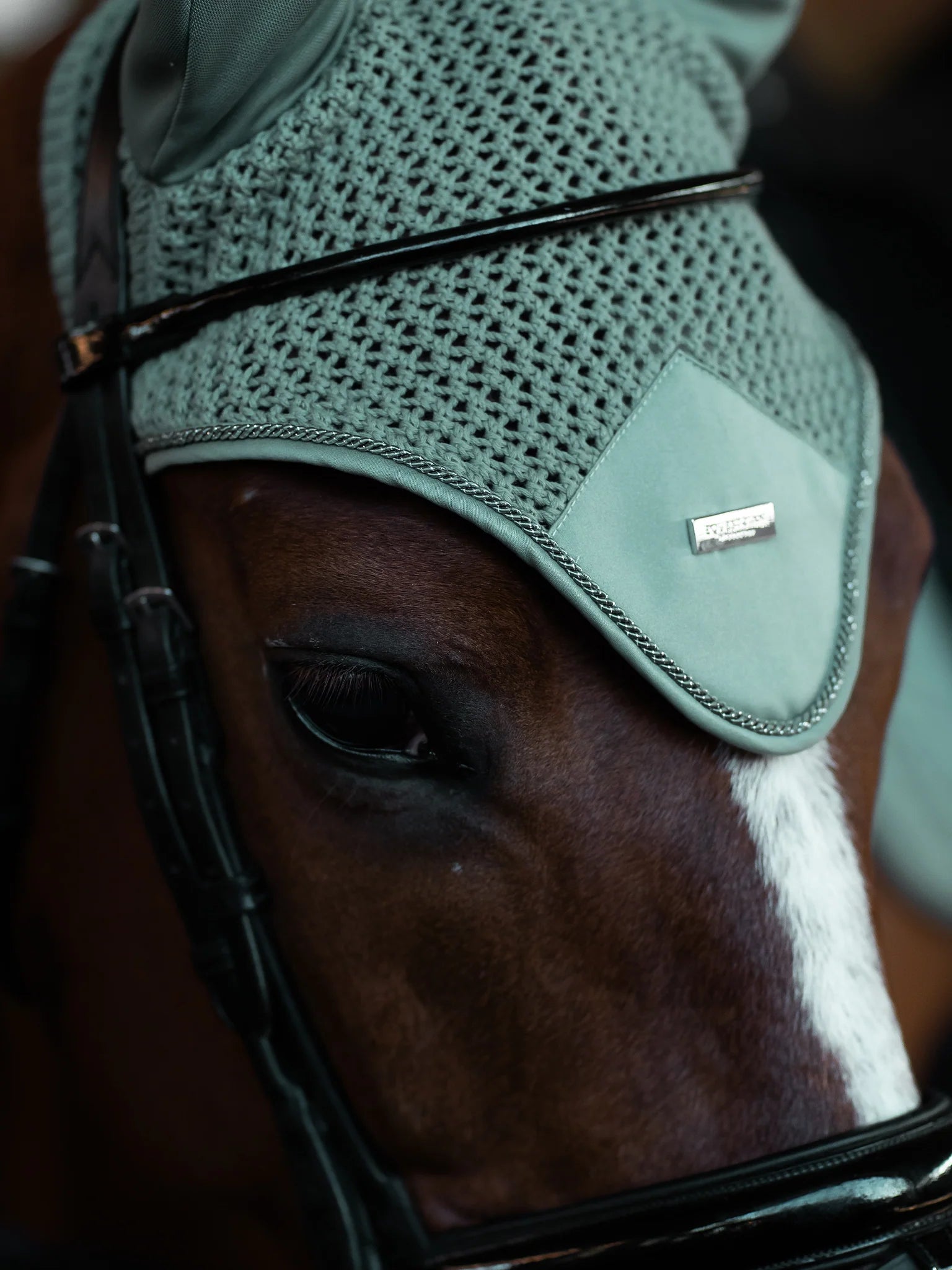 Equestrian Stockholm Modern Oornetje