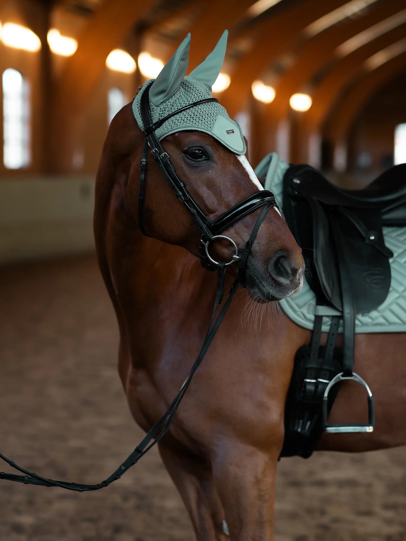 Equestrian Stockholm Modern Oornetje